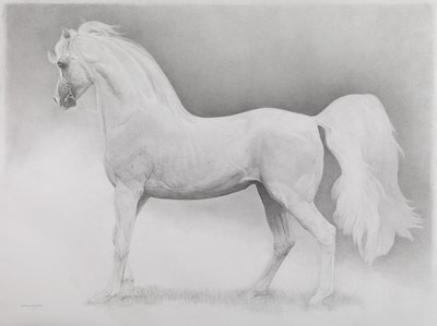 Hareketli Görüntü, Seri 2, 2013 (kağıt üzerinde grafit) by Emma Kennaway